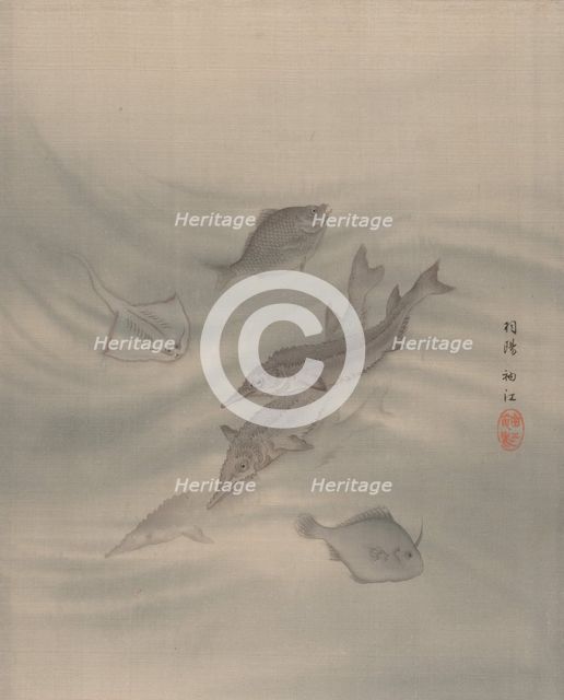 Fishes, ca. 1890-92. Creator: Seki Shuko.