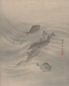 Fishes, ca. 1890-92. Creator: Seki Shuko