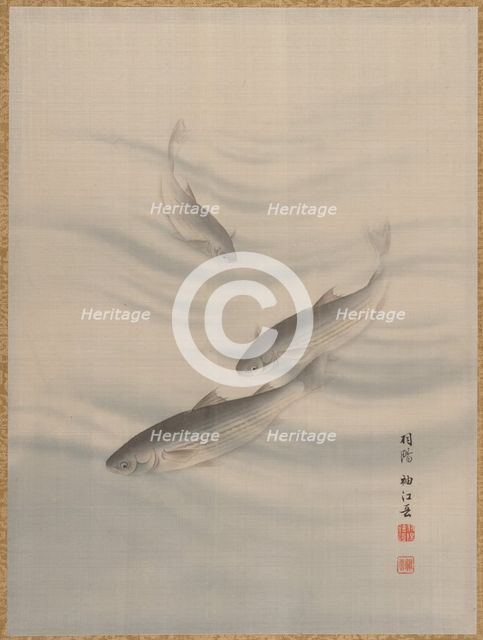 Fishes Swimming, ca. 1890-92. Creator: Seki Shuko.