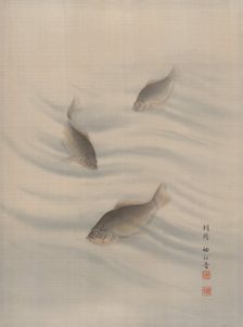 Fishes Swimming, ca. 1890-92. Creator: Seki Shuko