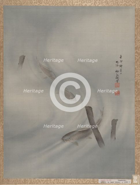 Fishes Swimming, Summer, 1891. Creator: Seki Shuko.