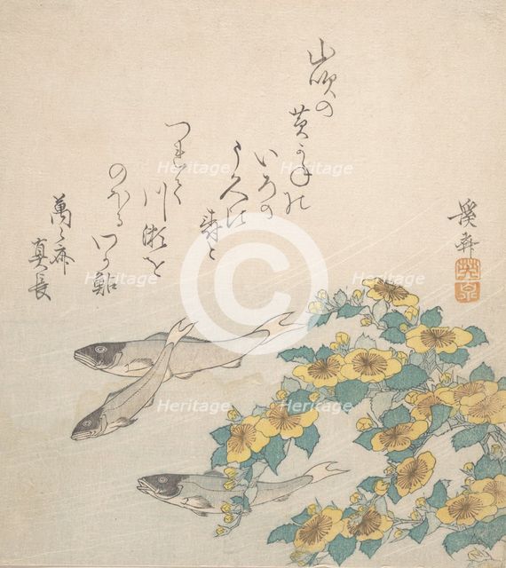 Fishes Swimming with Yellow Flowers, ca. 1830. Creator: Ikeda Eisen.