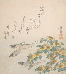 Fishes Swimming with Yellow Flowers, ca. 1830. Creator: Ikeda Eisen