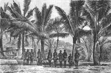 Fishing -Village, in grove of Coconut Trees; Some Account of New Caledonia 1875. Creator: Unknown