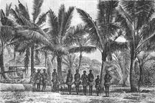 Fishing -Village, in grove of Coconut Trees; Some Account of New Caledonia 1875. Creator: Unknown