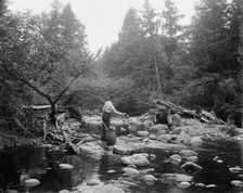 Fishing, Adirondack Mts., N.Y., between 1900 and 1910. Creator: Unknown
