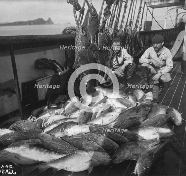 Fishing boat, cod and halibut, before 1927. Creator: Unknown.