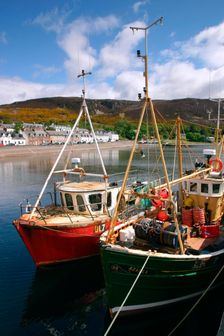 Fishing boats, Ullapool harbour, Highland, Scotland. Creator: Peter Thompson