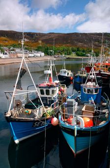 Fishing boats, Ullapool harbour, Highland, Scotland. Creator: Peter Thompson