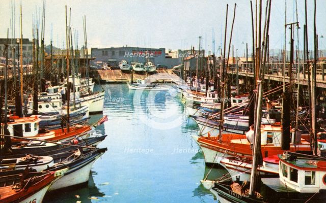 Fishing boats at Fisherman's Wharf, San Francisco, California, USA, 1957. Artist: Unknown