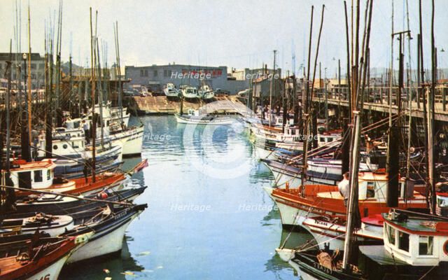 Fishing boats at Fisherman's Wharf, San Francisco, California, USA, 1957. Artist: Unknown