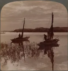 Fishing boats at sunset across Tamagawa to Kawasaki, near Yokohama, Japan 1904