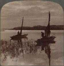 Fishing boats at sunset across Tamagawa to Kawasaki, near Yokohama, Japan 1904