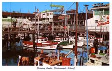 Fishing boats, Fisherman's Wharf, San Francisco, California, USA, 1957