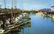 Fishing fleet at Fisherman's Wharf, San Francisco, California, USA, 1957