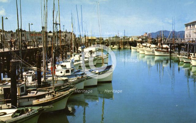Fishing fleet at Fisherman's Wharf, San Francisco, California, USA, 1957. Artist: Unknown