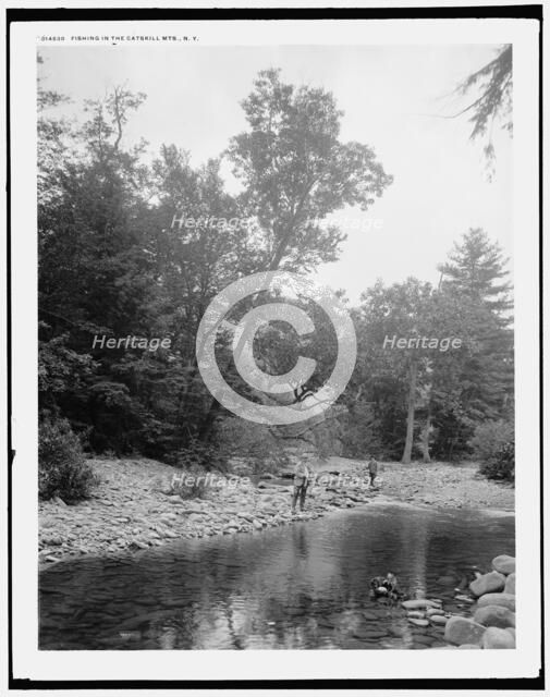 Fishing in the Catskill Mts., N.Y., (1902?). Creator: Unknown.