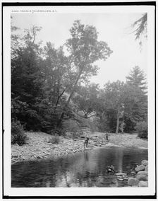 Fishing in the Catskill Mts., N.Y., (1902?). Creator: Unknown