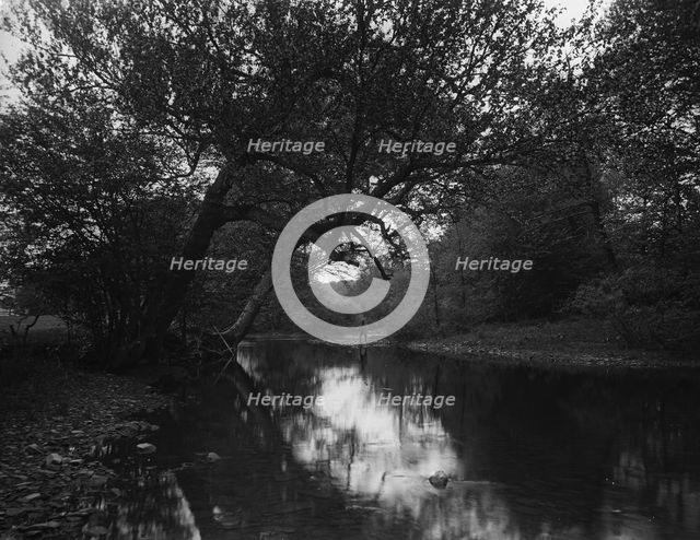 Fishing on the Genegantslet, Smithville Flats, N.Y., c1900. Creator: Unknown.