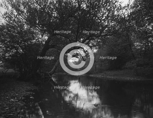 Fishing on the Genegantslet, Smithville Flats, N.Y., c1900. Creator: Unknown.