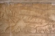Fishing scene relief, Mastaba of Kagemni, Saqqara, Egypt, Old Kingdom, 6th Dynasty, 2350 BC (2003). Creator: Unknown
