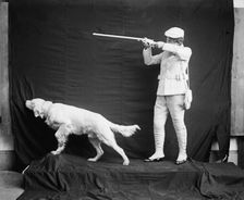 Flushed Billy in hunting pose, between 1900 and 1920. Creator: Unknown