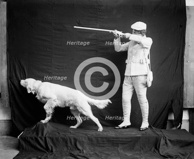 Flushed Billy in hunting pose, between 1900 and 1920. Creator: Unknown.