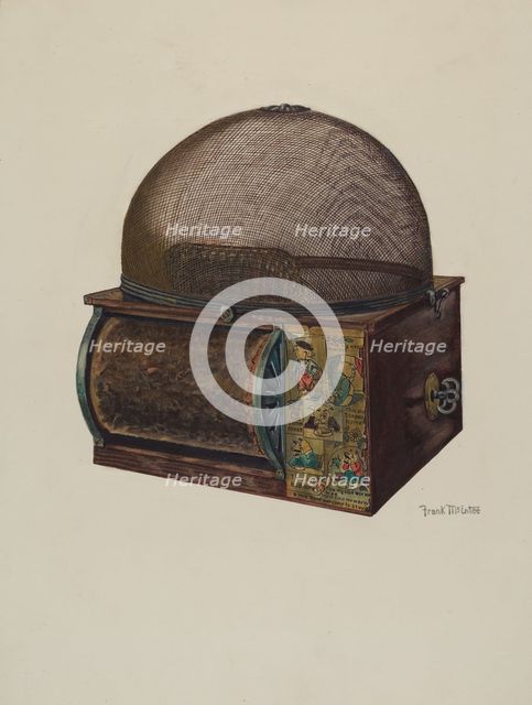 Fly Catcher, c. 1937. Creator: Frank McEntee.
