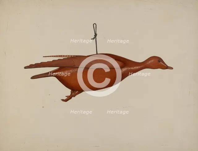 Flying Duck, c. 1939. Creator: Malcolm Hackney.