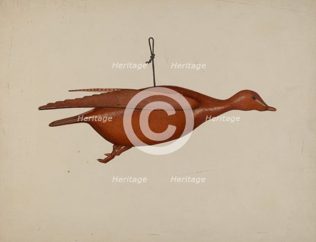 Flying Duck, c. 1939. Creator: Malcolm Hackney.