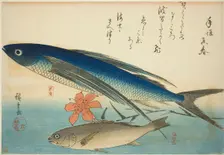 Flying fish and Ichimochi, from an untitled series of fish, c. 1840/42. Creator: Ando Hiroshige