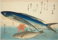 Flying fish and Ichimochi, from an untitled series of fish, c. 1840/42. Creator: Ando Hiroshige