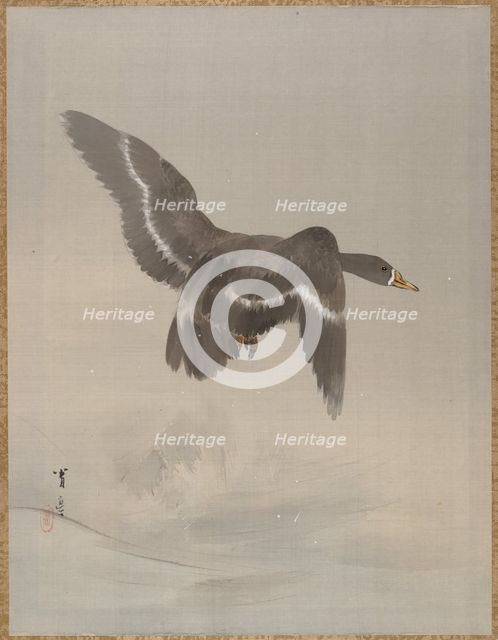 Flying Goose, ca. 1887. Creator: Watanabe Seitei.