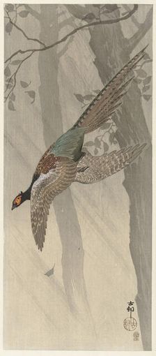 Flying pheasant, Between 1900 and 1915. Creator: Ohara, Koson (1877-1945)