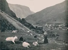 Flaam 1914. Creator: Unknown
