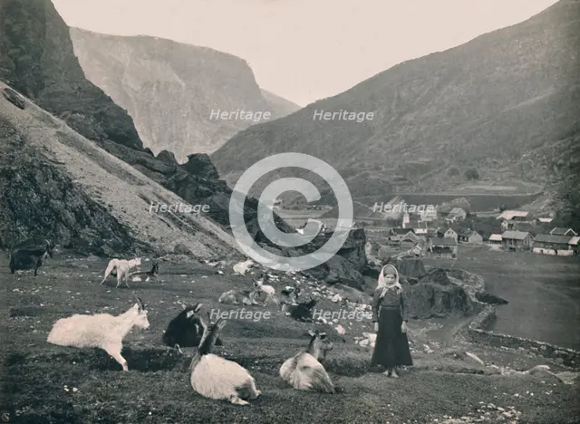 'Flaam', 1914. Creator: Unknown.