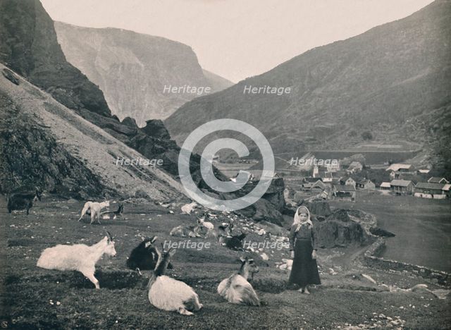 'Flaam', 1914. Creator: Unknown.