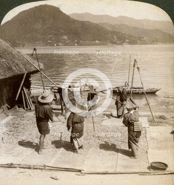 Flailing barley beside a fishing beach on the Inland Sea, Japan, 1904.Artist: Underwood & Underwood