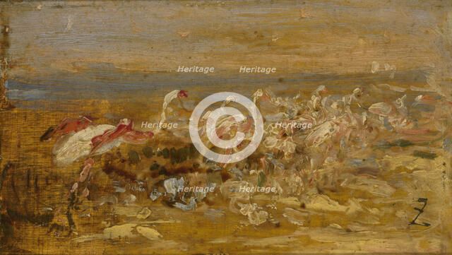 Flamants. Creator: Felix Francois Georges Philibert Ziem.