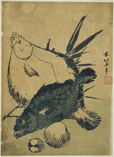 Flatfish, scorpion fish, and shells, from an untitled series of chuban prints, Japan, c. 1831. Creator: Hokusai