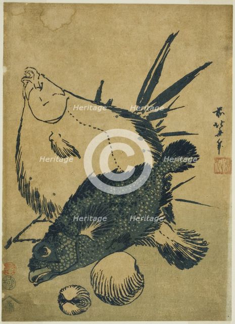 Flatfish, scorpion fish, and shells, from an untitled series of chuban prints, Japan, c. 1831. Creator: Hokusai.