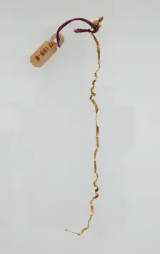 Flattened Wire, Frankish, 7th century. Creator: Unknown