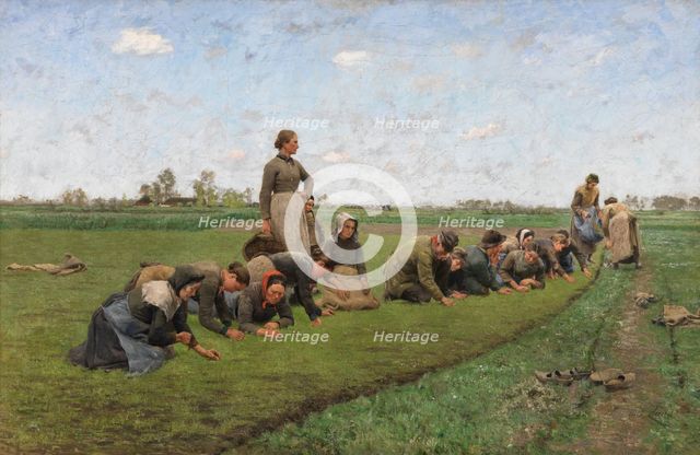 Flaxweeding in Flanders, 1887. Creator: Emile Claus.