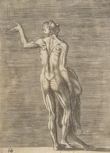 Flayed man with left hand on hip, holding skin in right hand, ca. 1531-76. Creator: Giulio Bonasone