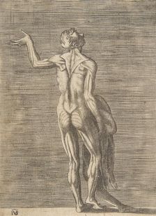 Flayed man with left hand on hip, holding skin in right hand, ca. 1531-76. Creator: Giulio Bonasone