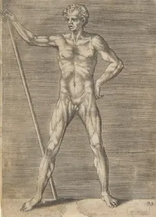 Flayed man seen from in front, holding a stick, ca. 1531-76. Creator: Giulio Bonasone