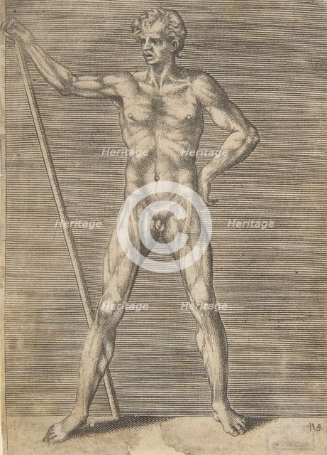 Flayed man seen from in front, holding a stick, ca. 1531-76. Creator: Giulio Bonasone.