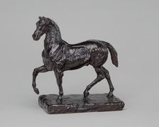 Flayed Horse III, model c. 1820/1824, cast 1959-1960. Creator: Theodore Gericault