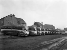 Fleet of AEC Regal Mk4s belonging to Philipson's Coaches, Goldthorpe, South Yorkshire, 1963. Creator: Michael Walters