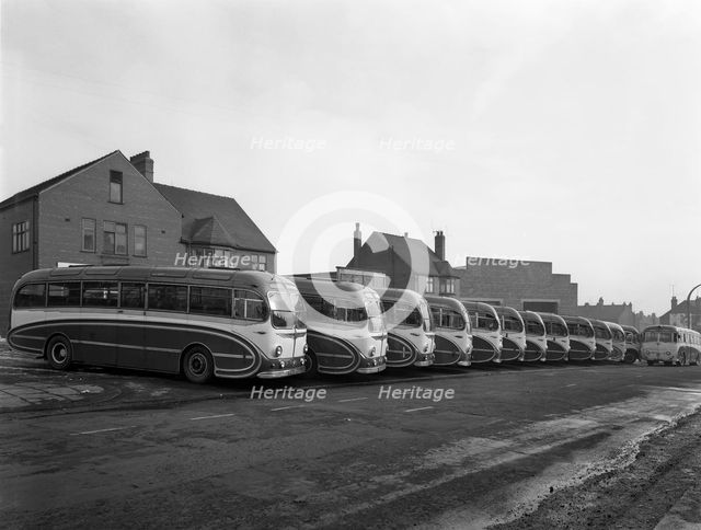 Fleet of AEC Regal Mk4s belonging to Philipson's Coaches, Goldthorpe, South Yorkshire, 1963. Creator: Michael Walters.